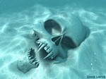 Sandy skull - Ziad Elias - 1024 x 768